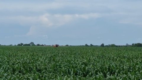 FAZENDA 7300 HECTARES OPORTUNIDADE 20 ANOS PARA PAGAR MARANHAO 7