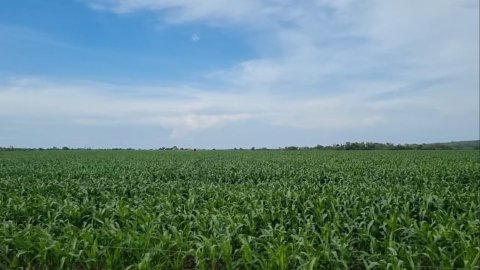 FAZENDA 7300 HECTARES OPORTUNIDADE 20 ANOS PARA PAGAR MARANHAO 6