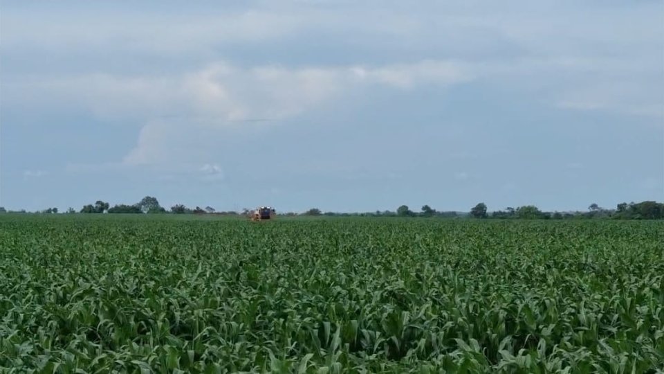 FAZENDA 7300 HECTARES OPORTUNIDADE 20 ANOS PARA PAGAR MARANHAO
