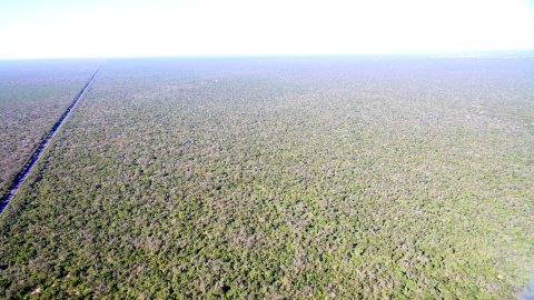 Fazenda 9000 hectares Piaui 4