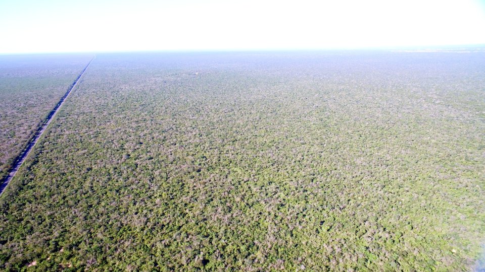 Fazenda 9000 hectares Piaui